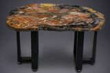 Polished Rainbow Petrified Wood Table - Arizona #352263-2
